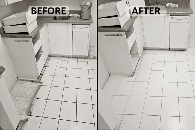 Descripción de la imagen 2