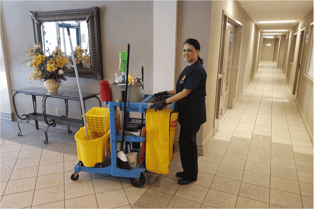 Descripción de la imagen 9